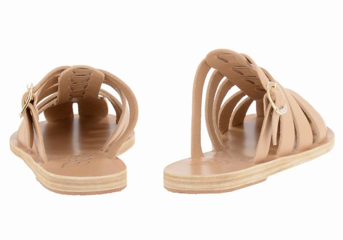 Sandale Pecheur Ancient Greek Sandals Cosmia   | NRG-1062233